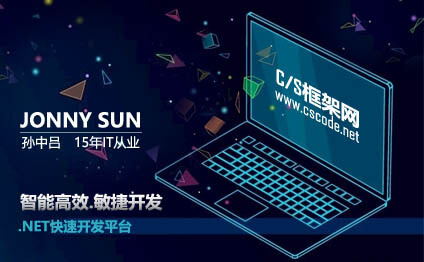 C/S框架网创始人简介