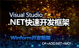 .NET快速开发框架-旗舰版