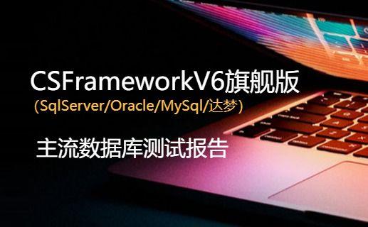 CSFrameworkV6软件开发平台主流数据库测试报告（SqlServer/MySql/Oracle/达梦）|C/S开发框架